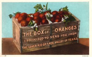 Vintage Postcard The Box Oranges from the Lower Rio Grande Valley Of Texas