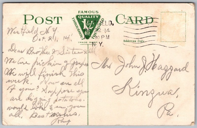 Vtg Westfield New York NY Dr C.E. Welch's Vineyard Grape Belt 1910s Postcard