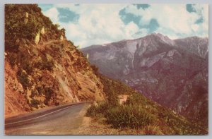 National & State Parks~Hwy In Sequoia Park California~Vintage Postcard