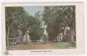 West Main Street Canaan Connecticut 1905c postcard