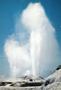 VINTAGE CONTINENTAL SIZE POSTCARD POHUTU GEYSER 90 FEET ROTORUA NEW ZEALAND