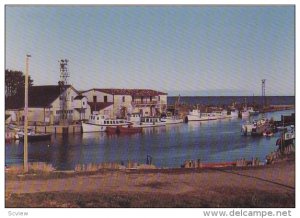 Boats, L'Anse-A-Beaufils, Fishing Port, Perce, Quebec, Canada, 50-70´s