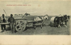 russia, Native Chinese Cart (1903) Postcard