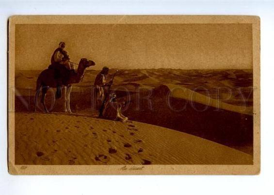 172055 Arabian desert Vintage Lehner & Landrock postcard