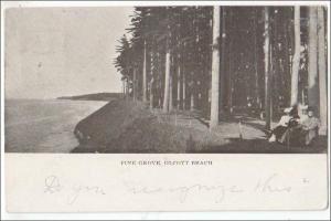 Pine Grove, Olcott Beach NY