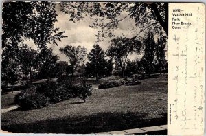 Postcard PARK SCENE New Britain Connecticut CT AL3647