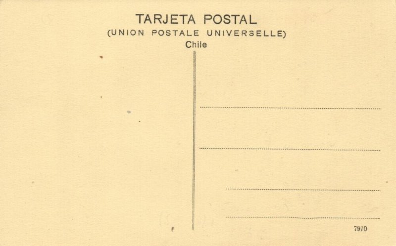 chile, Magallanes, Indio Yagan de los Canales, Indian Male (1910s) Postcard