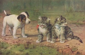 When Cats Are Kittens & Dogs Are Puppies Rare Tucks 3053 Oilette Postcard