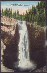 Salt Creek Falls,Cascade Forest,OR Postcard