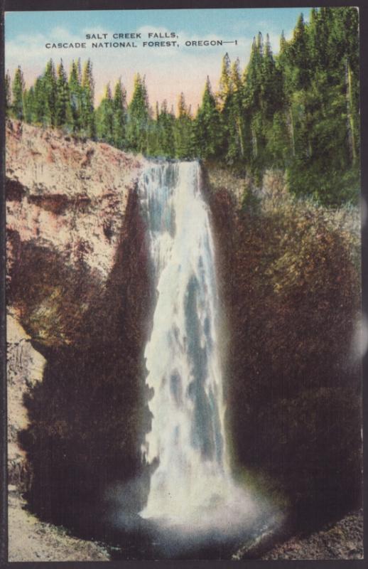 Salt Creek Falls,Cascade Forest,OR Postcard