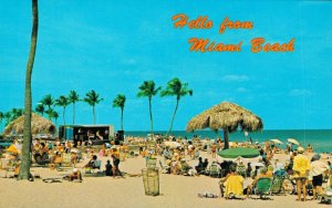 Postcard - Hello from Miami Beach, Florida