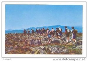 Girl's Camp group hiking, Bigelow Lawn, Mt Washington, New Hampshire, 40-60s