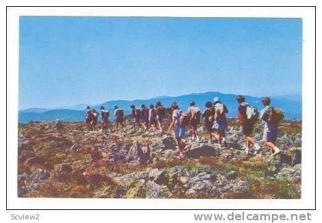 Girl's Camp group hiking, Bigelow Lawn, Mt Washington, New Hampshire, 40-60s