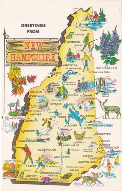 Greetings From New Hampshire With Map 1964