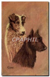 Old Postcard Dogs Dog