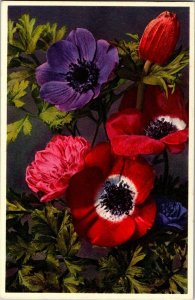 Anemone 169 Thor E. Gyger Vintage Postcard S14