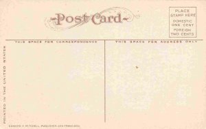 Washington Avenue Looking North Ogden Utah 1910c postcard