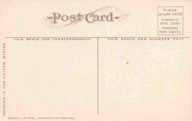 Washington Avenue Looking North Ogden Utah 1910c postcard