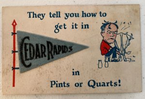 Man Milking Cow Felt Pennant Cedar Rapids Antique Novelty Postcard