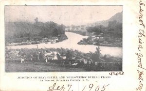 Junction of Beaverkill & Willowemoc During Flood Roscoe, New York