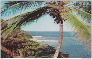 San San Bay, Jamaica, West Indies, 40-60s