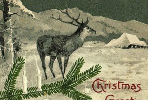 Postal de Navidad Buck cornamentas de 1907-15 Hoja De Pino saludos de colección casa Nieve 