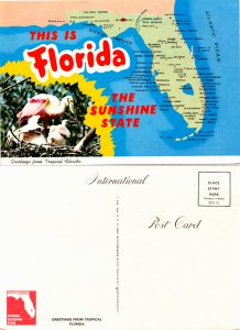 The is Florida The Sunshine State (23444