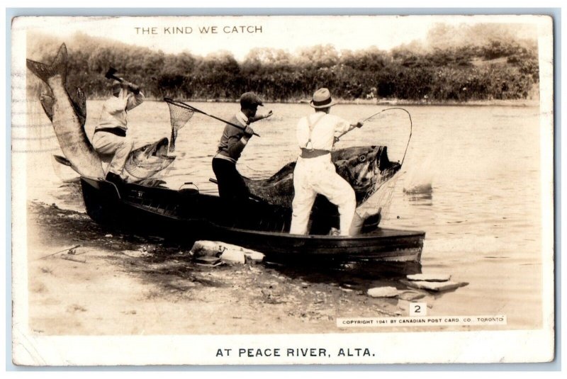 1943 Exaggerated Fishing Peace River Alta Alberta Canada RPPC Photo Postcard 