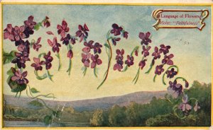 Vintage Postcard 1910 Language of Flowers Violet Faithfulness Nature Artwork