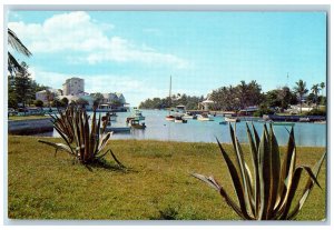 Bermuda Postcard Flatt's Inlet Showing Coral Island Club c1950's Vintage