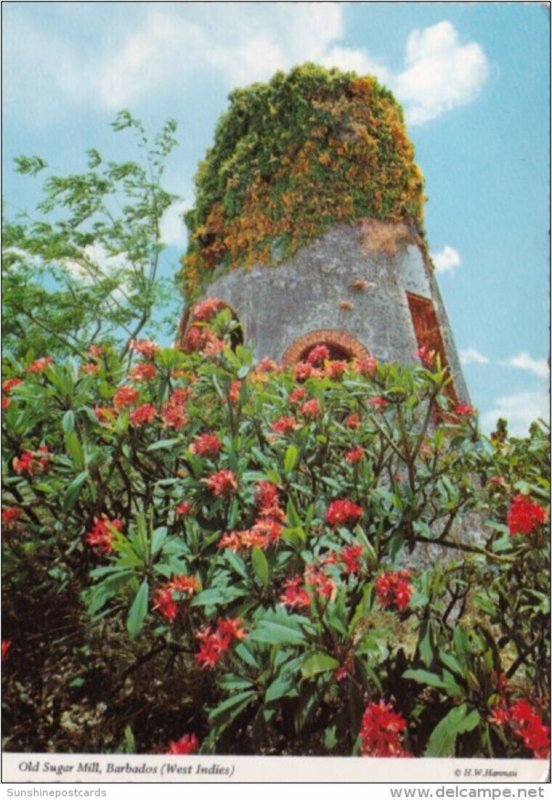 Barbados Old Sugar Mill Ruins