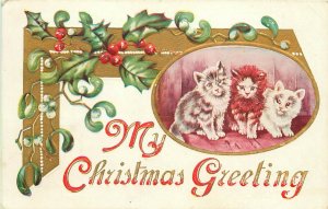 Embossed Christmas Greetings Cat Postcard # Little Kittens & Holly, Posted 1910