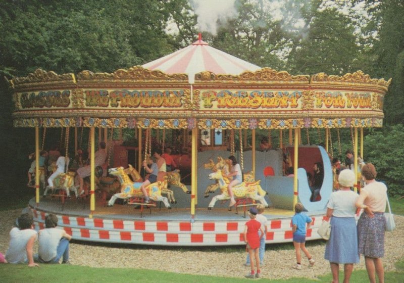 Tidman 3 Fairground Merry Go Round Liphook Hampshire Postcard