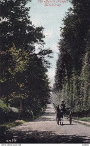 MEIKLEOUR, Perthshire, Scotland, 1900-1910s; Beech Hedge, Horse Carriage