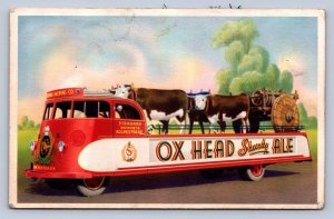 J95/ Rochester New York Postcard c1940s Standard Brewing Ox Head Ad 147