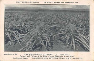 Honolulu Hawaii Hawaiian Pinapple Co Farm Vintage Postcard AA46343