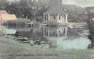 Dwight Illinois c1910 Postcard Lily Pond Oughton's Park