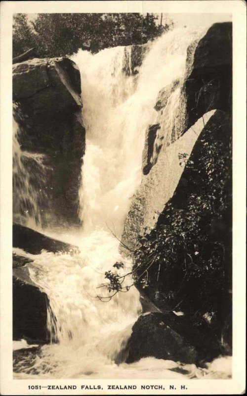 White Mountains NH Zealand Falls Notch Shorey 1051 Real Photo Postcard