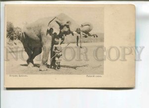 482396 CEYLON Elephant & driver Vintage postcard RUSSIA Red Cross St.Eugenie