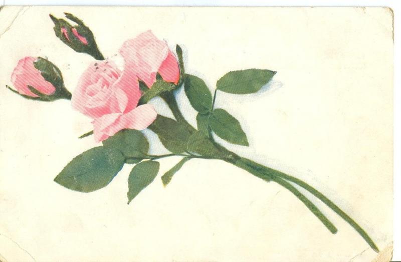 Flower, 1907 used Postcard 