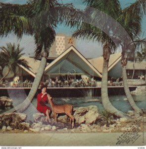 RECORD CARD, Hospitality House Overlooking Lagoon At Busch Gardens, Budweiser...