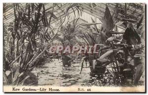 Great Britain Kew Gardens Old Postcard Lily House (plants)