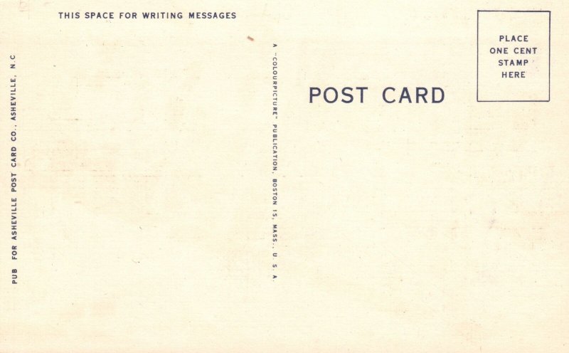 Asheville WV-West Virginia, Greetings Capital Flowers Old Vintage Postcard