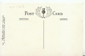 Scotland Postcard - Auld Brig O´ Doon - Alloway - Ayrshire -  Ref 19999A