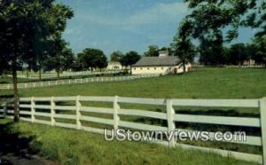 Horse Farm - Lexington, Kentucky KY  