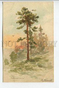 461392 PAKHOMOV Lonely Pine Vintage postcard RUSSIA St.Eugenie 4th #3385