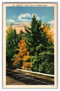 Postcard PA Hemlock State Tree Of Pennsylvania