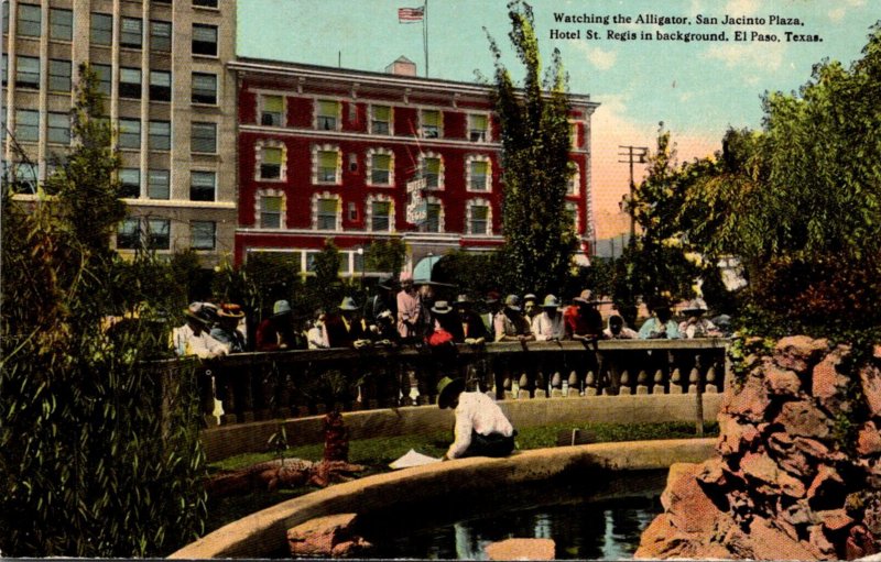 Texas El Paso San Jacinto Plaza Alligator Pool Watching The Alligators