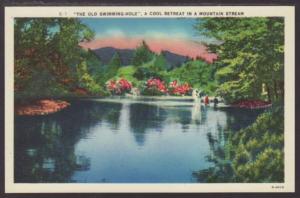 Ole Swimming Hole in a Mountain Stream Postcard 