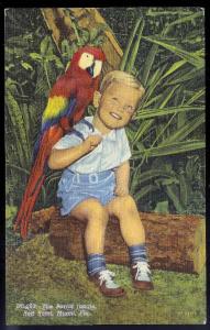 Parrot Jungle Miami FL unused c1940s
